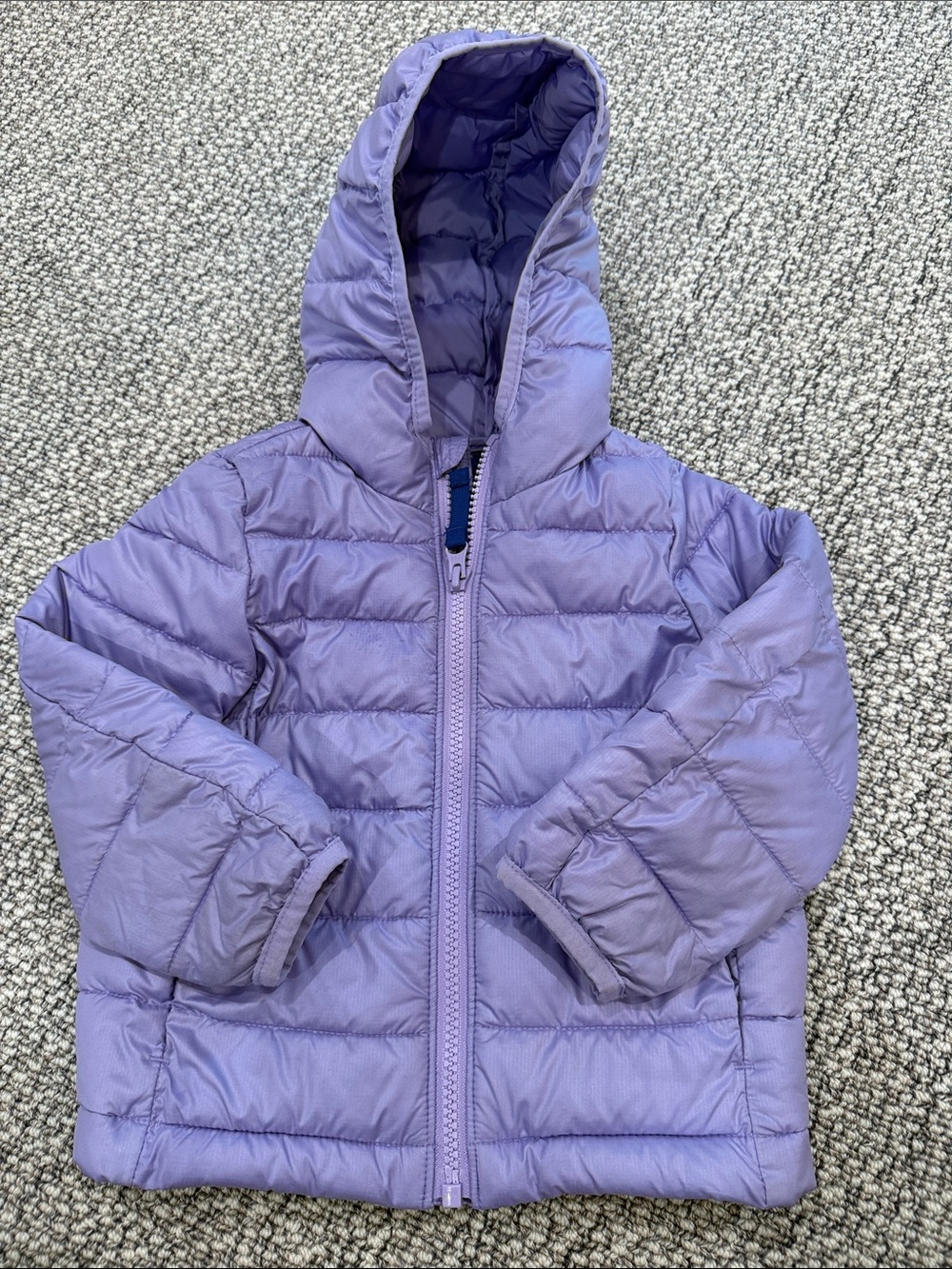 Primary Lavender Hooded Puffer Coat